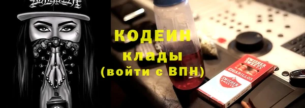 ECSTASY Белокуриха