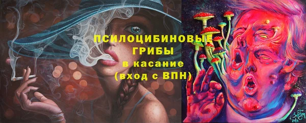 ECSTASY Белокуриха