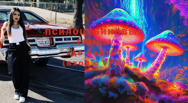 ECSTASY Белокуриха