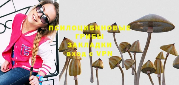 ECSTASY Белокуриха